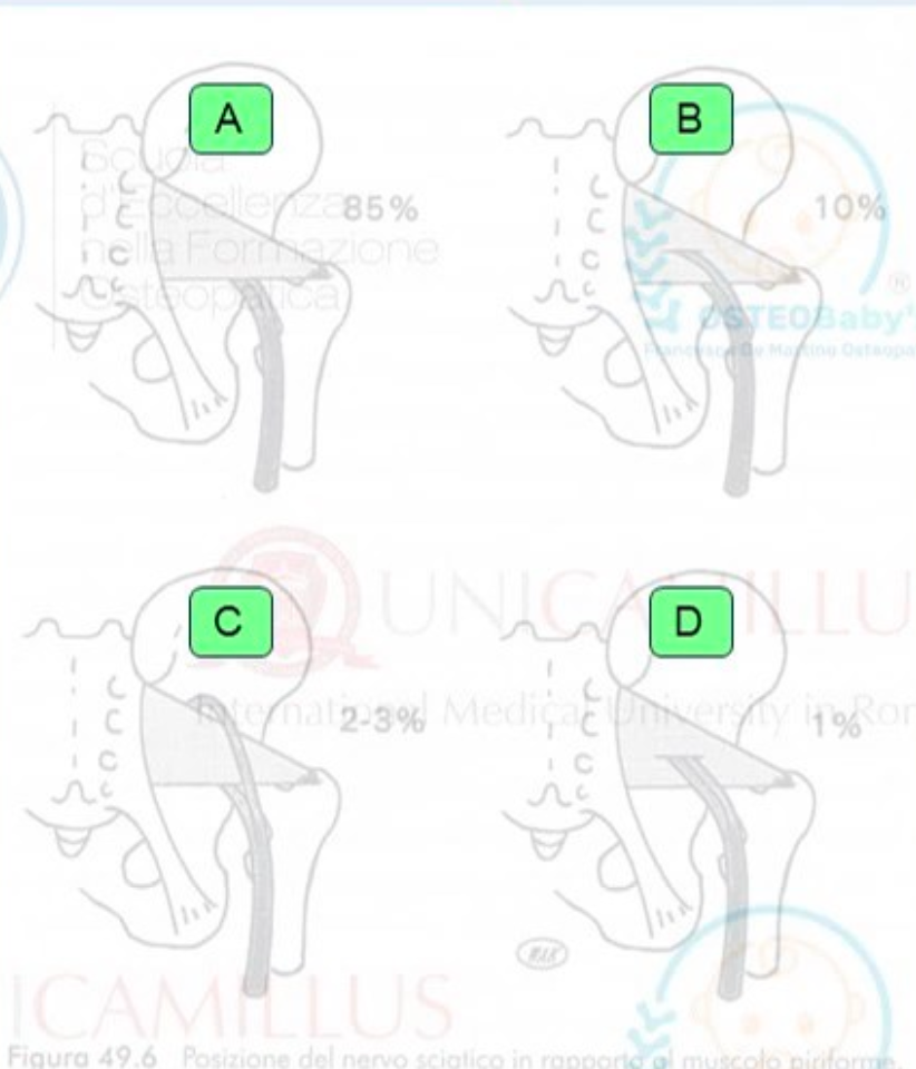 SCR-20260406-ttag.png